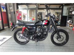 Kawasaki W175 TR 2020