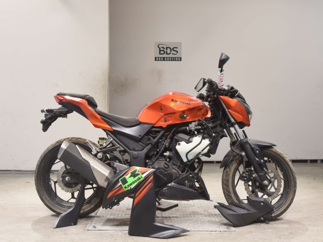 Kawasaki Z250 2014