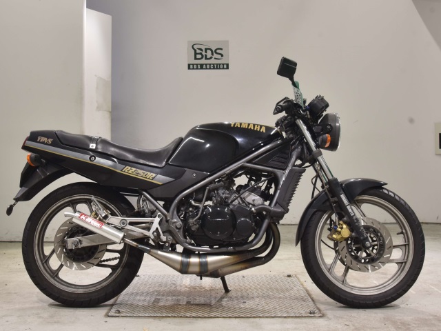 Yamaha RZ250R 1986