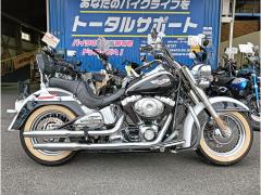 HD HERITAGE SPECIAL FLSTN 2005