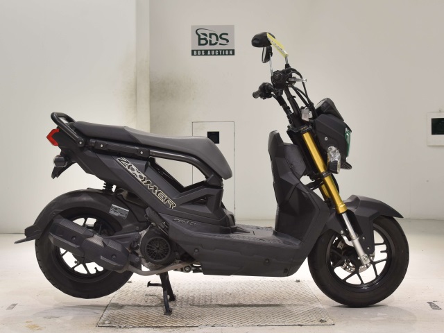 Honda ZOOMER-X 2020