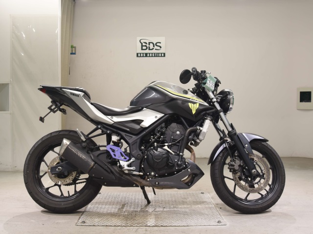 Yamaha MT-25 2017