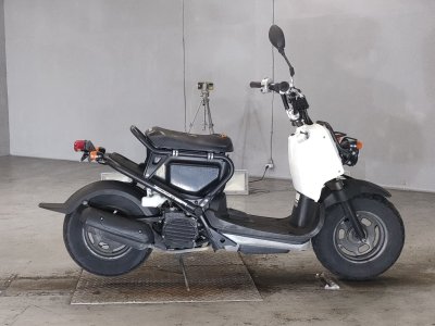 Honda ZOOMER 2009