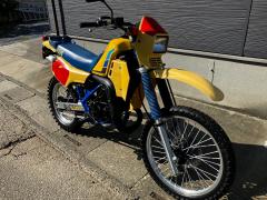 Suzuki RH250