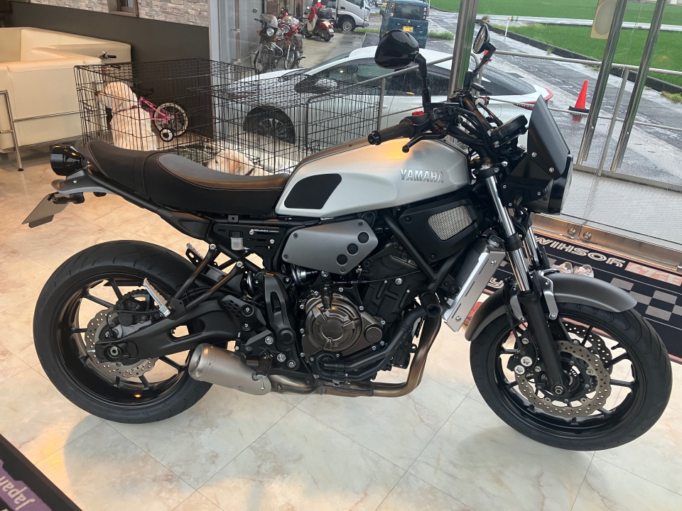 Yamaha XSR700 2019