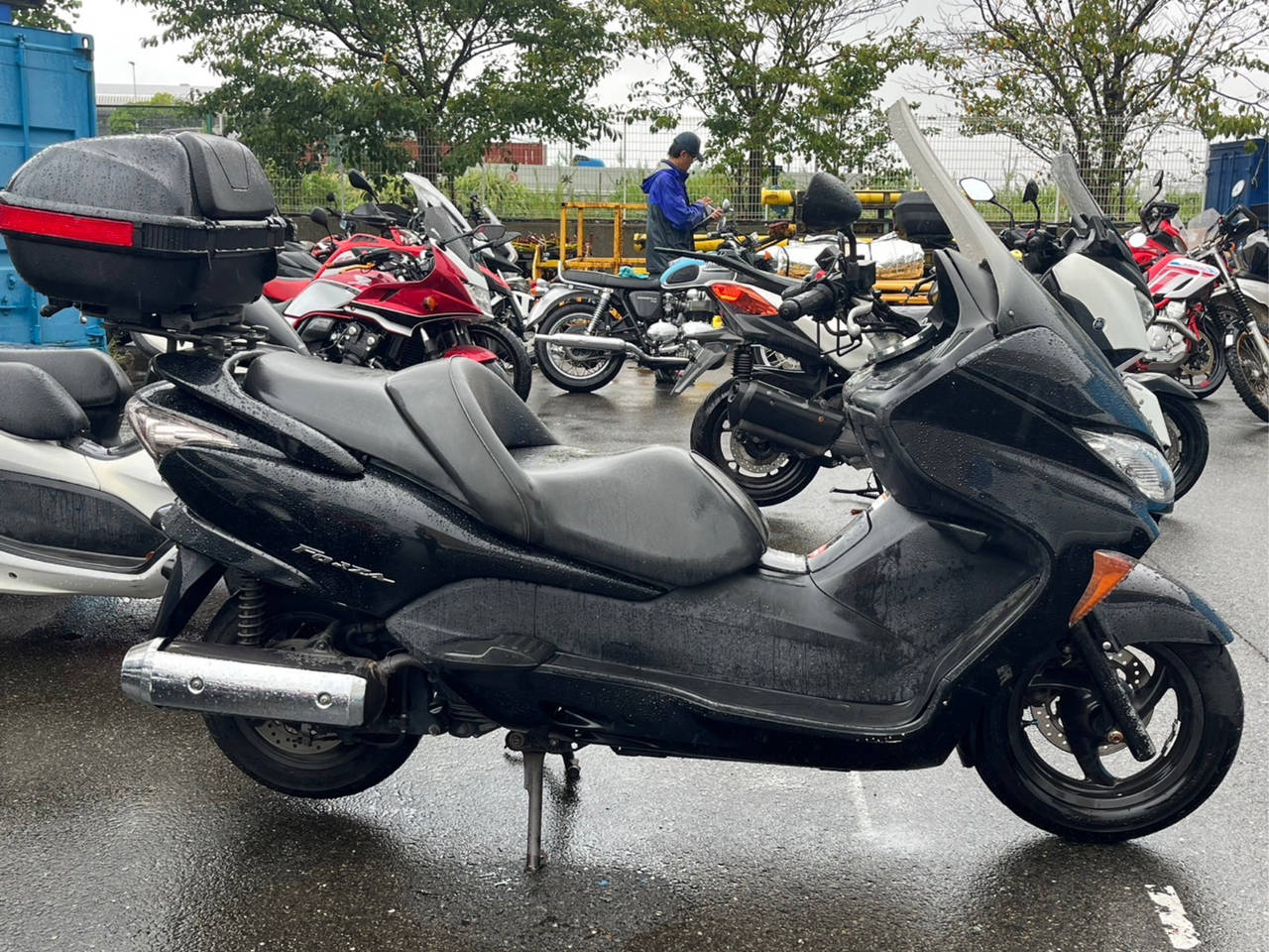 Honda FORZA Z 2006