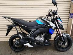 Kawasaki Z125 PRO 2017