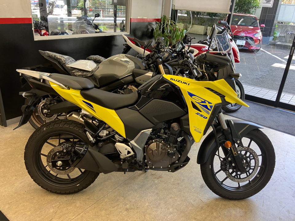 Suzuki V-STROM SX