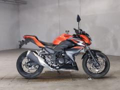 Kawasaki Z250 2014