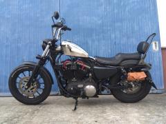 HD SPORTSTER IRON XL883N 2013