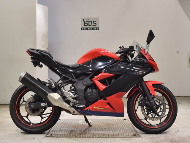 Kawasaki Z250SL 2016