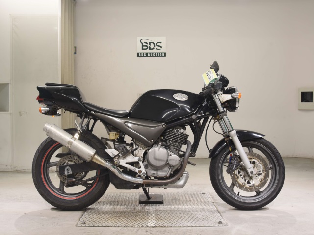 Suzuki GOOSE250