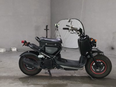 Honda ZOOMER 2009