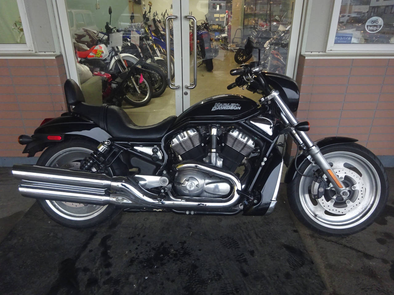 HD NIGHT ROD VRSCD 2006