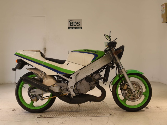 Kawasaki KR-1 1988