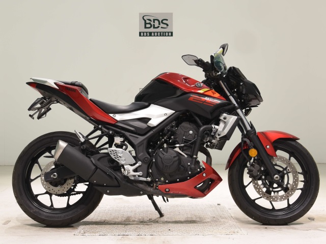 Yamaha MT-25 2016