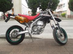 Kawasaki D-TRACKER250 2004