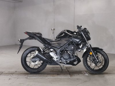 Yamaha MT-25 2019