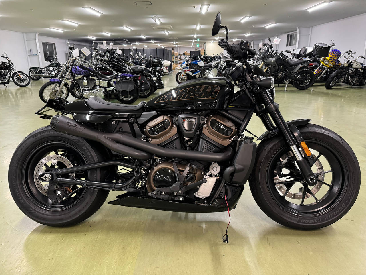 HD RH1250S 2022
