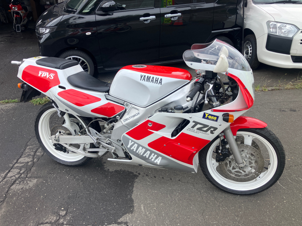 Yamaha TZR250 1989