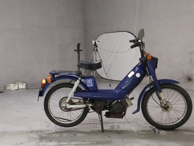 Peugeot VOGE