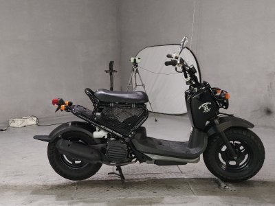 Honda ZOOMER 2008