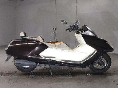 Yamaha MAGZAM 2010