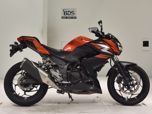 Kawasaki Z250 2014