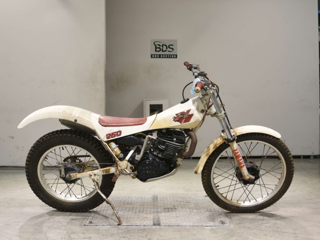 Yamaha TY250R