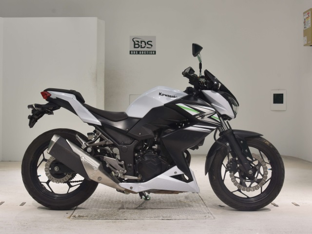 Kawasaki Z250 2014