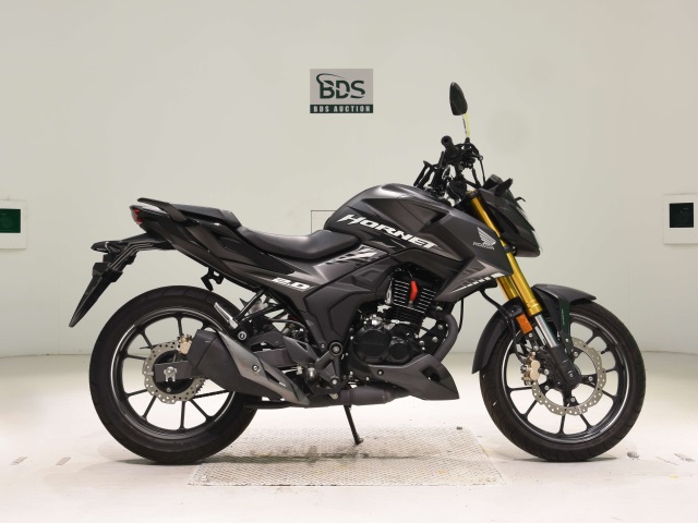 Honda HORNET 2.0 2022