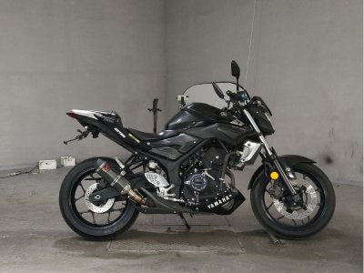 Yamaha MT-25 2016