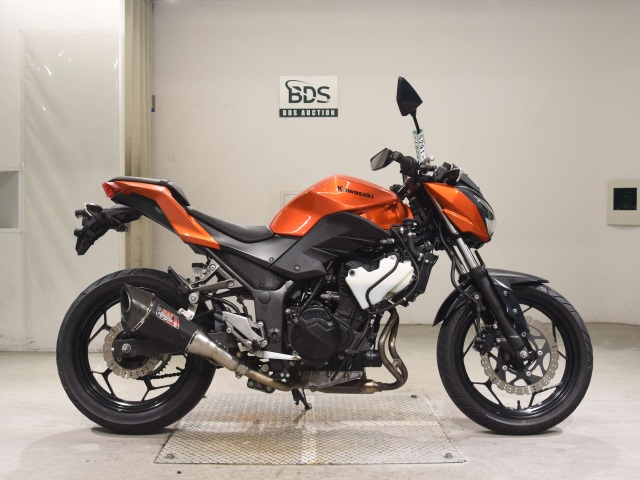 Kawasaki Z250 2014