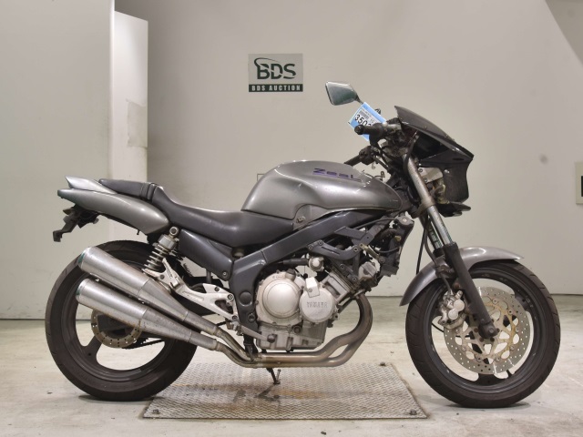 Yamaha ZEAL FZX250 1992