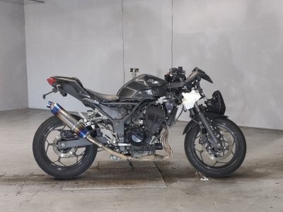 Kawasaki NINJA250 2016