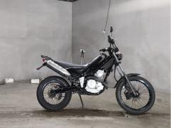 Yamaha TRICKER 2006