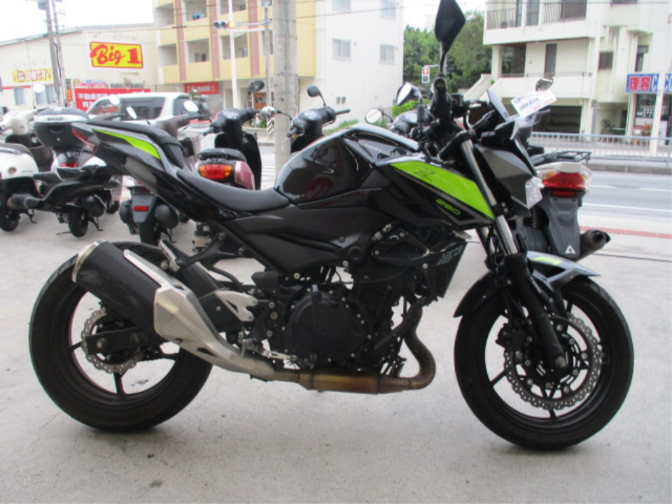 Kawasaki Z250 2022