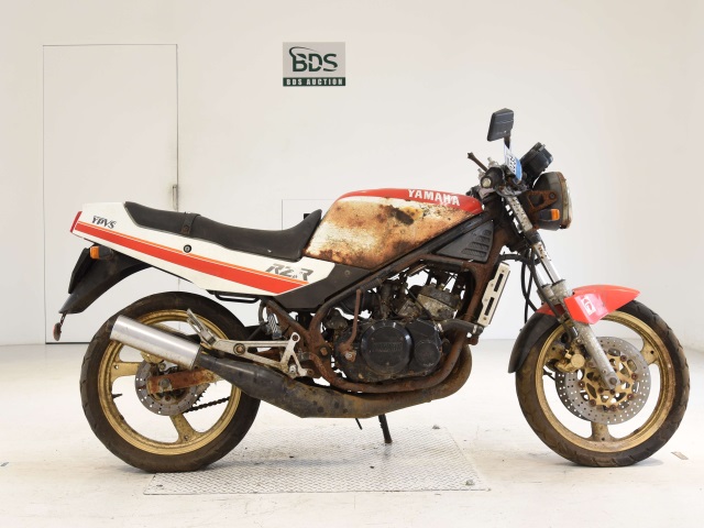 Yamaha RZ250R 1988