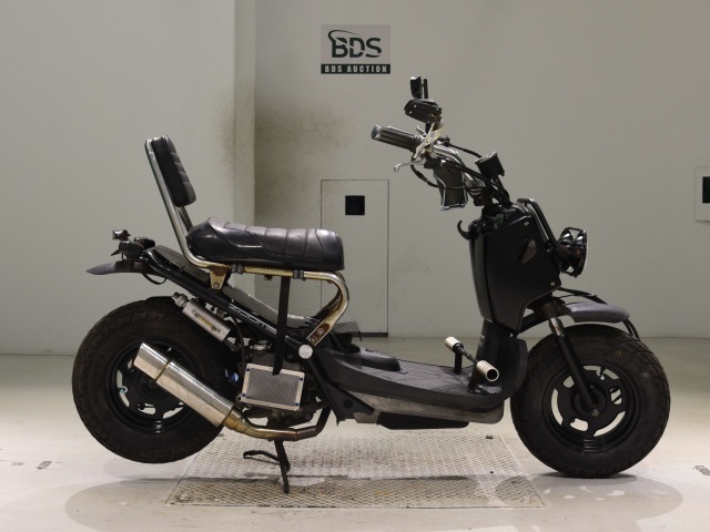 Honda ZOOMER 2008