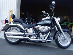 HD FATBOY FLSTF 2010