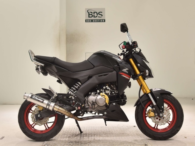 Kawasaki Z125 PRO 2021