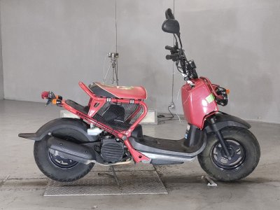 Honda ZOOMER 2008