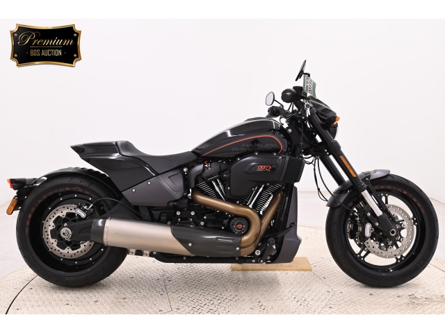 HD SOFTAIL FXDRS1870 2019