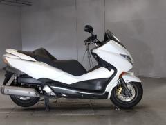 Honda FORZA Z 2011