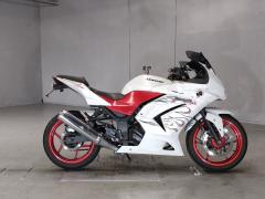 Kawasaki NINJA250R 2009