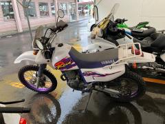 Yamaha TT250R RAID 1995