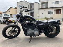 HD SPORTSTER XL1200N 2010