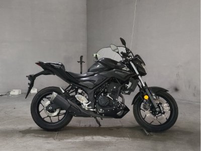Yamaha MT-25 2016