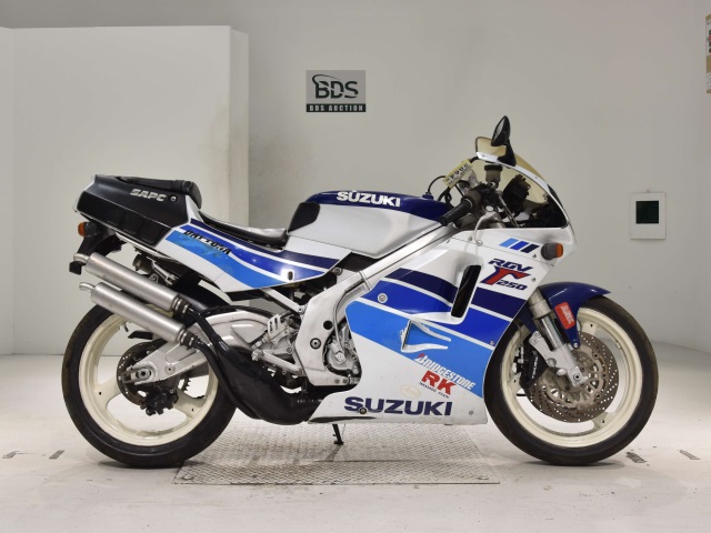 Suzuki RGV250SP 1990
