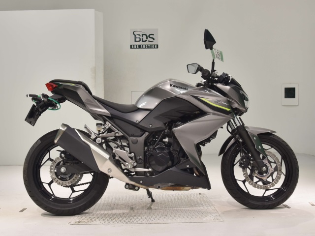 Kawasaki Z250A 2017